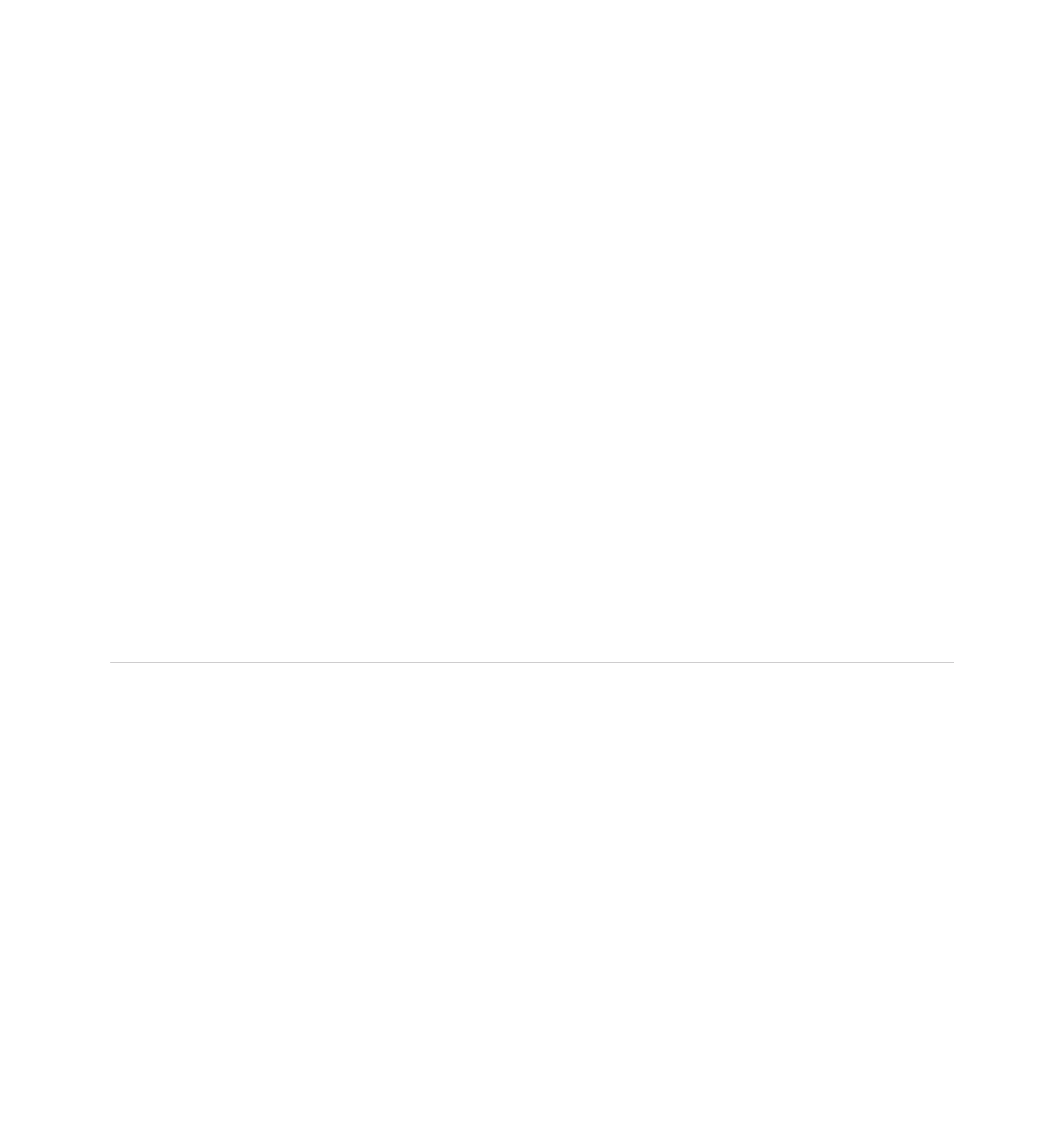 Bierbrouwerij Borne