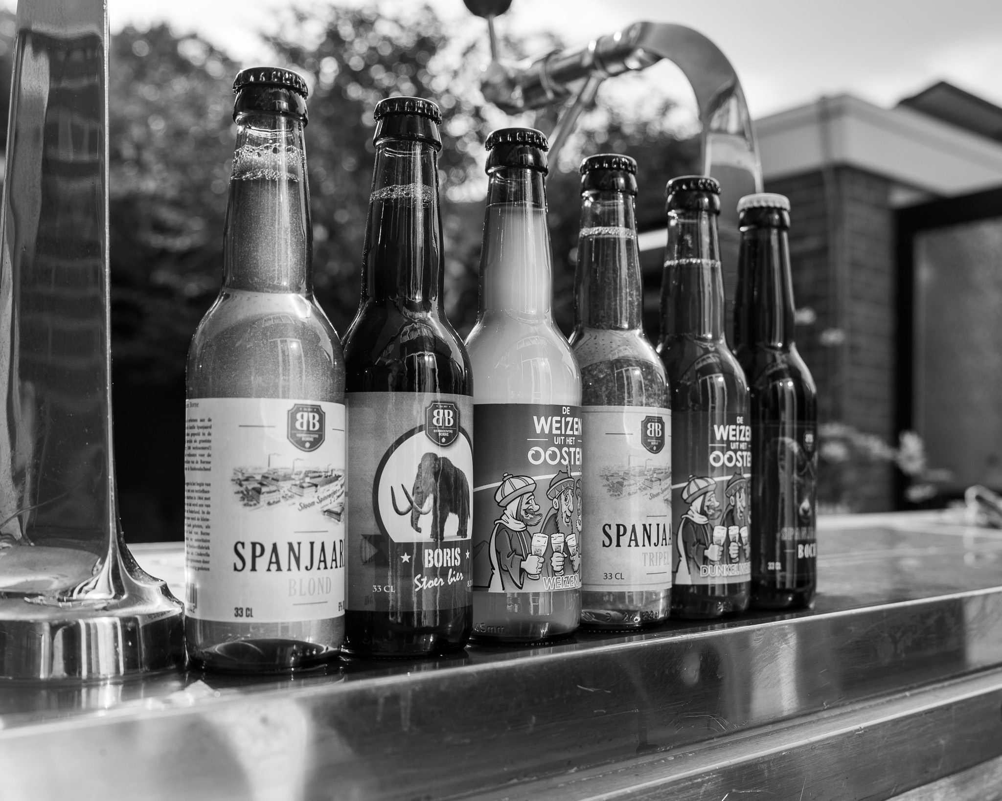 Het assortiment van Bierbrouwerij Borne in zwart-wit