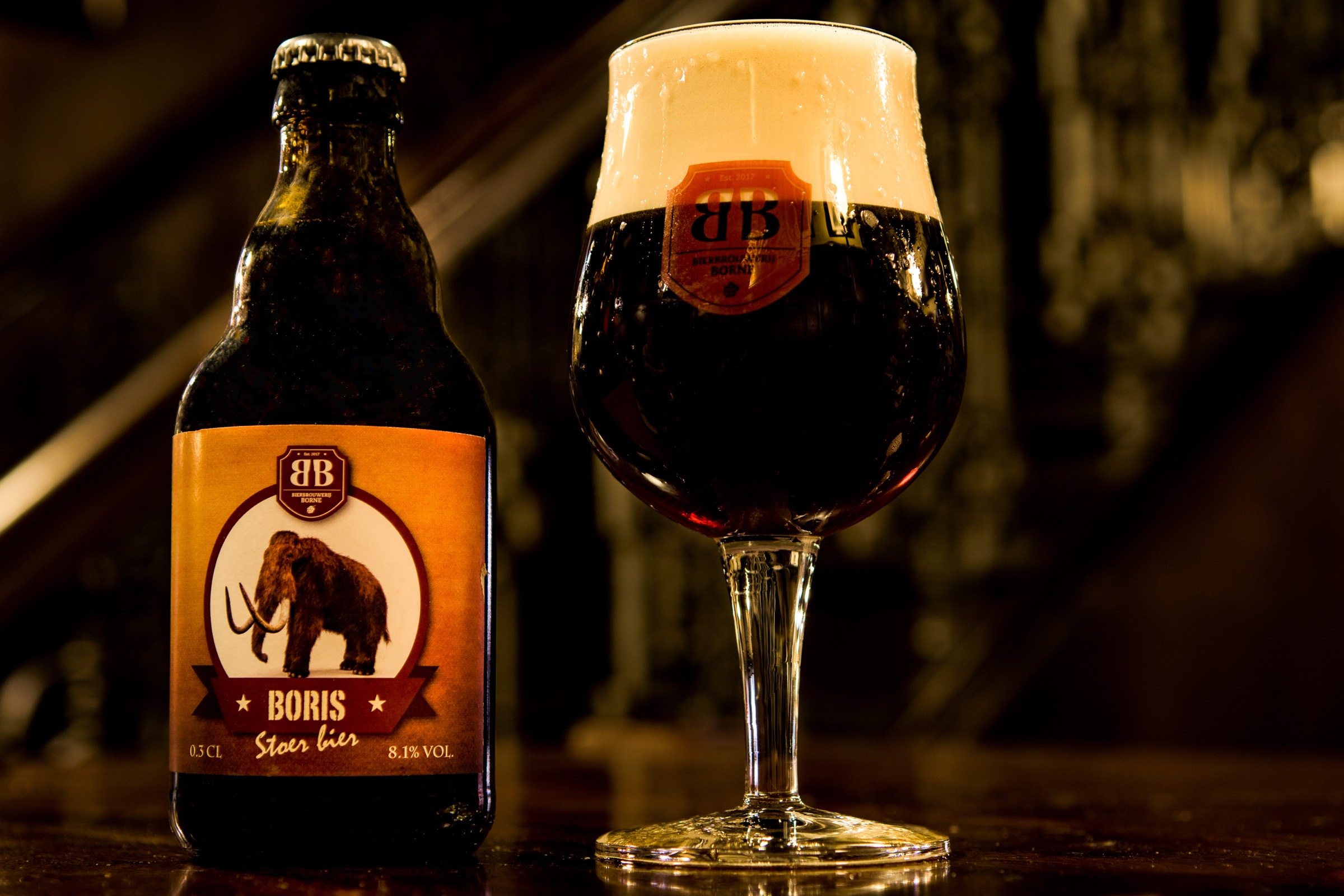 Donker speciaalbier van Bierbrouwerij Borne