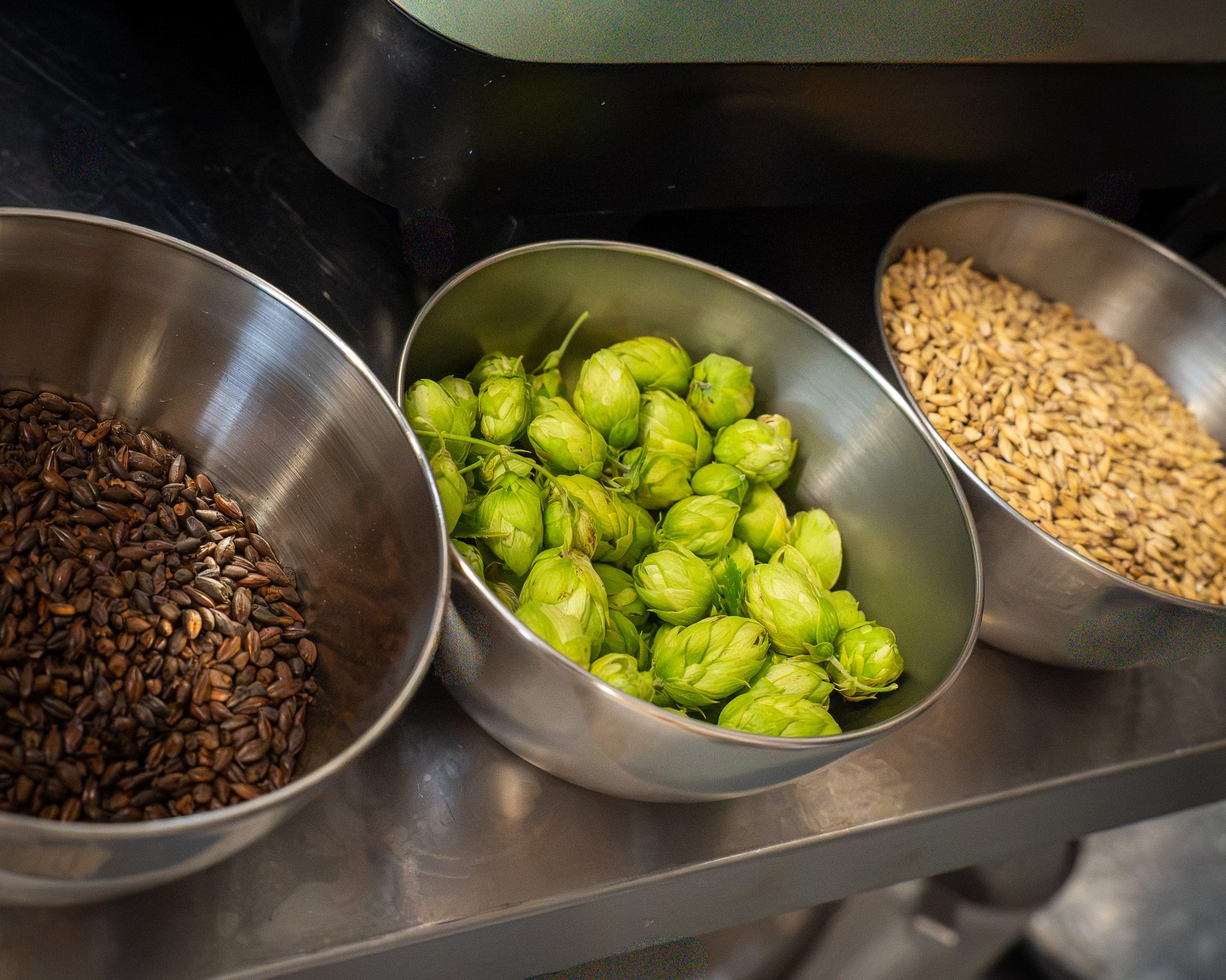 Mout en verse hop, de grondstoffen van ons bier